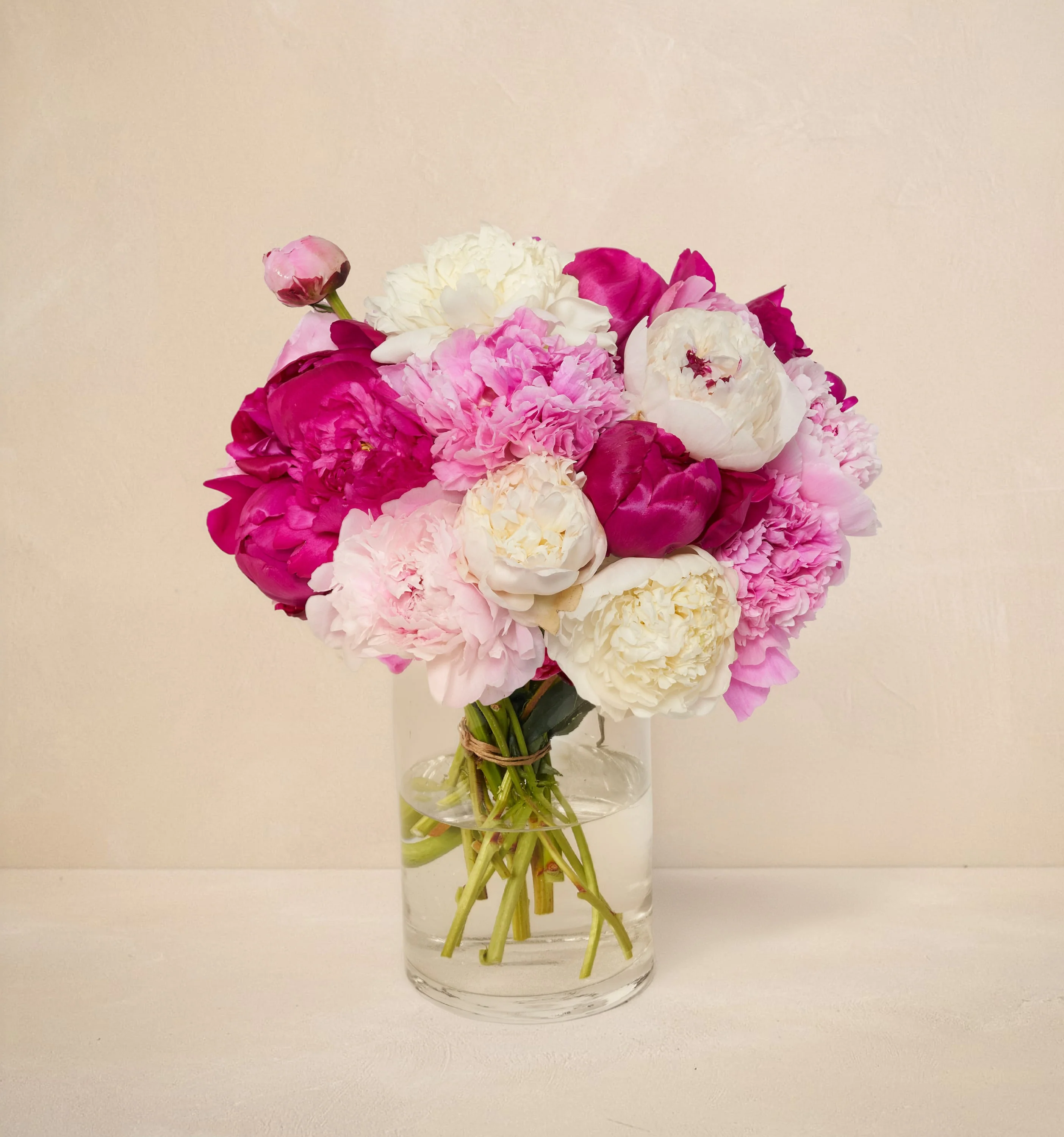 Double The Alaskan Peony