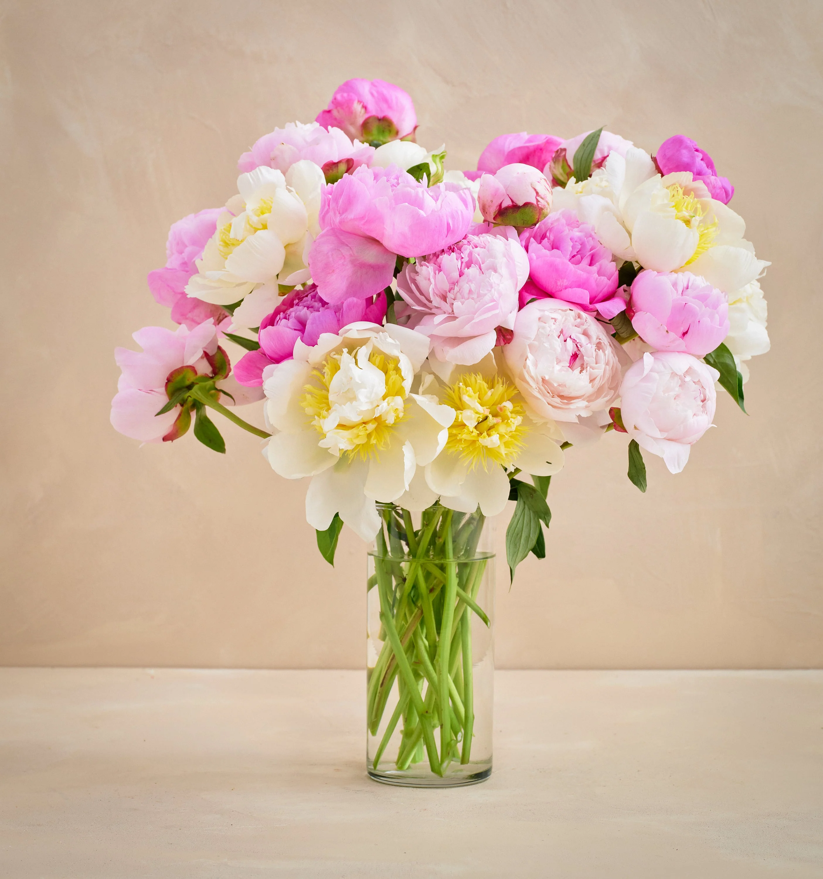 Double the Grower's Choice Peony