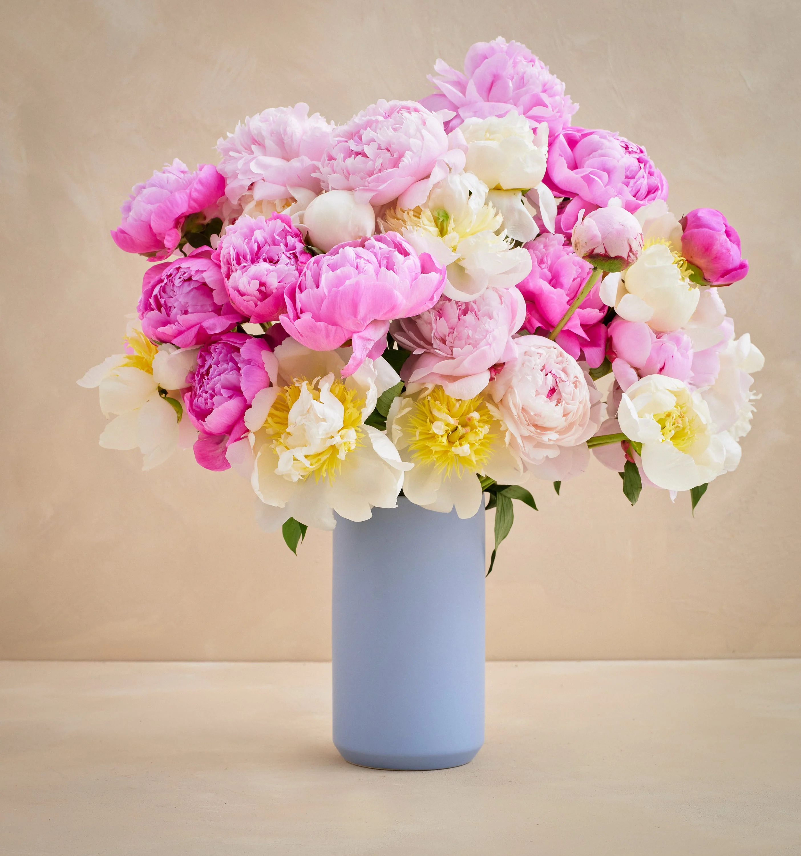 CL - The Grower's Choice Peony - Image 3