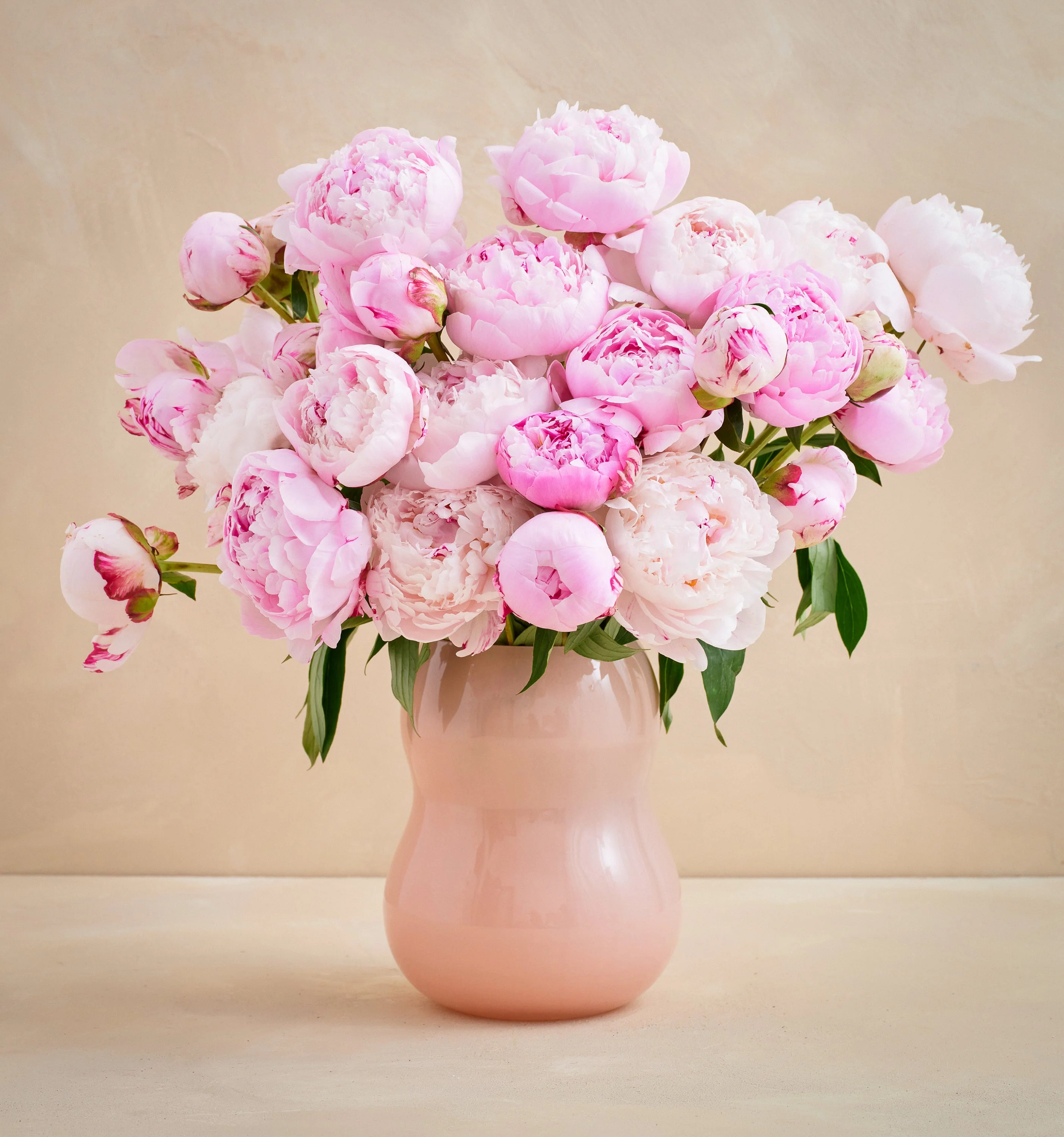 CL - The Peony - Image 3